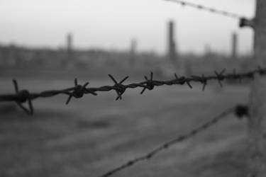 Auschwitz - Fall 2008