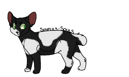 *set price* Patched Cat Adopt (open)
