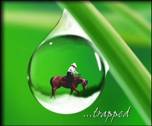 Water drop