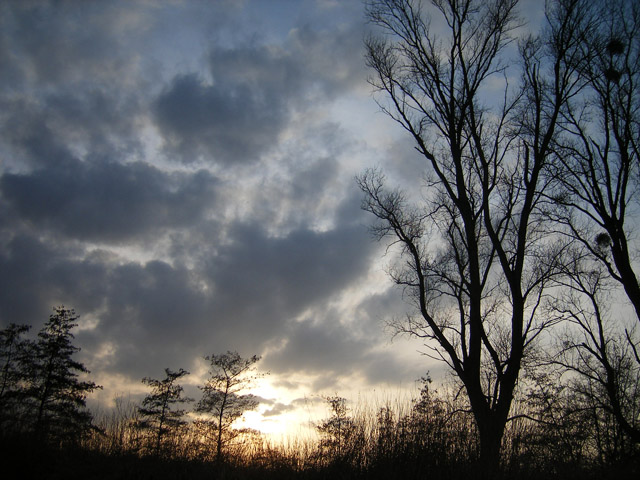 Passing clouds