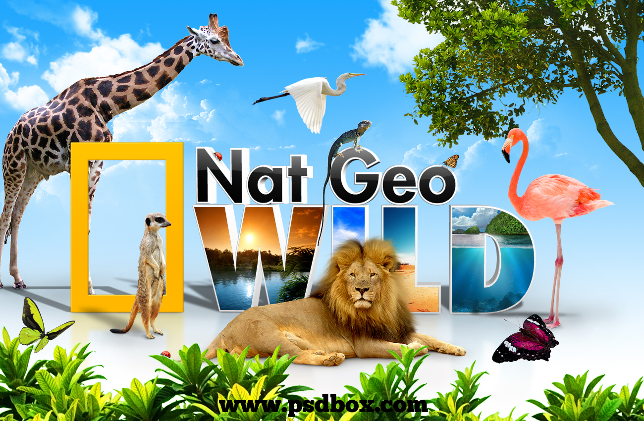 Nat Geo Wild wallpaper by Andrei-Oprinca on DeviantArt