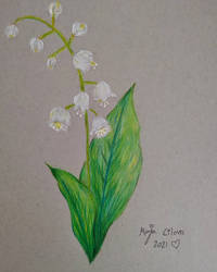 Lily of the valley