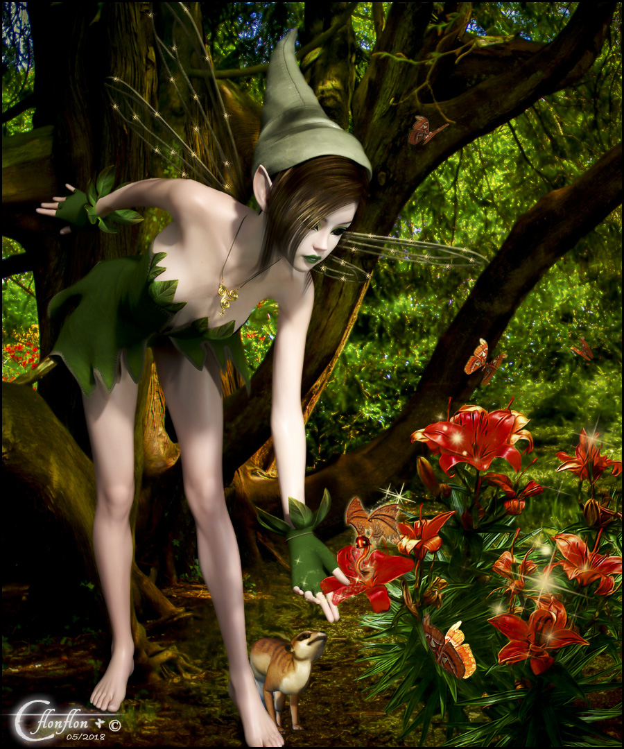 La Fee et le Dragon Magique