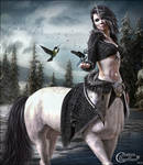 Centauricorne by cflonflon