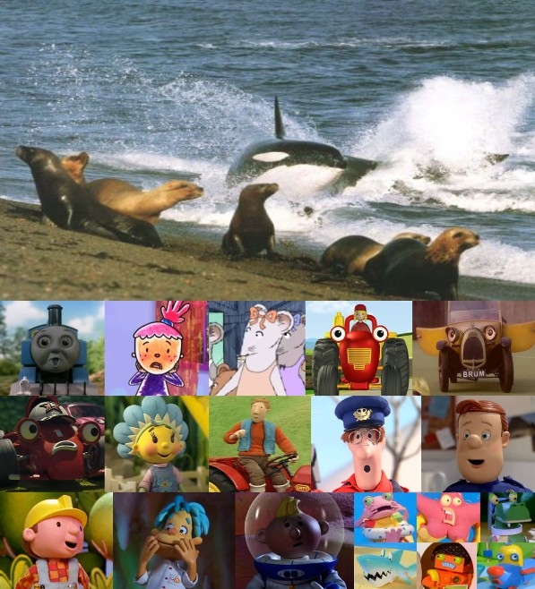 The Friendly Friends sees Orcas hunting Sea Lions