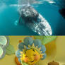 Fifi Forget-Me-Not loves Gray Whale Mom and Calf