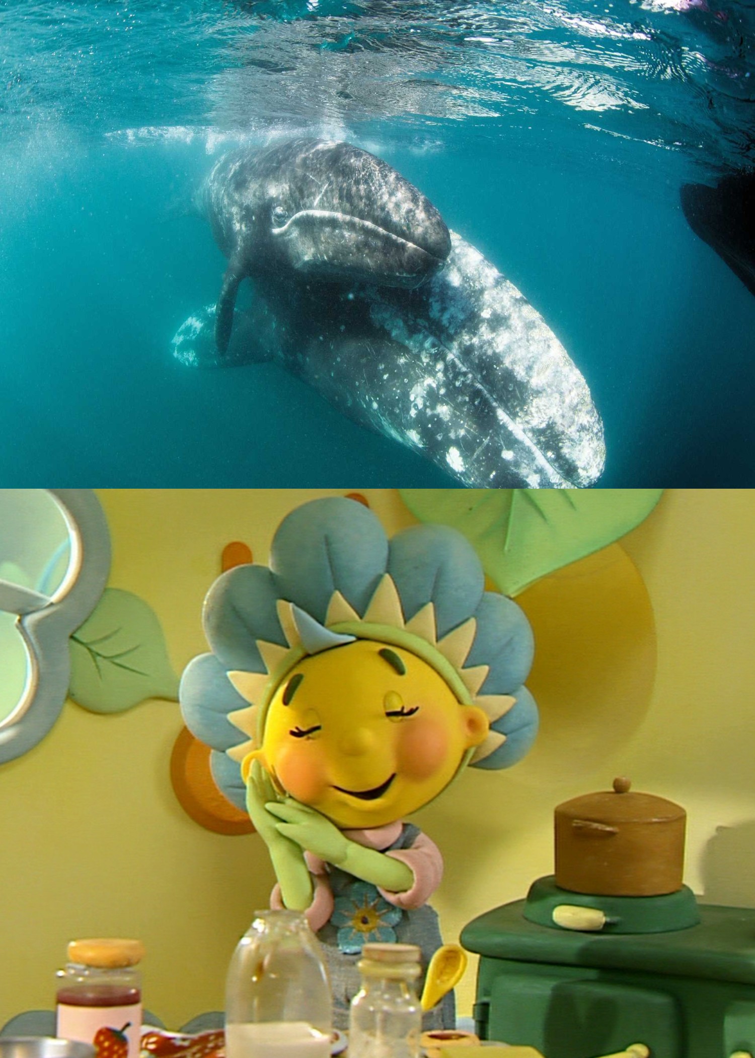 Fifi Forget-Me-Not loves Gray Whale Mom and Calf