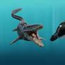 Mosa the Mosasaurus meets Willy the Orca