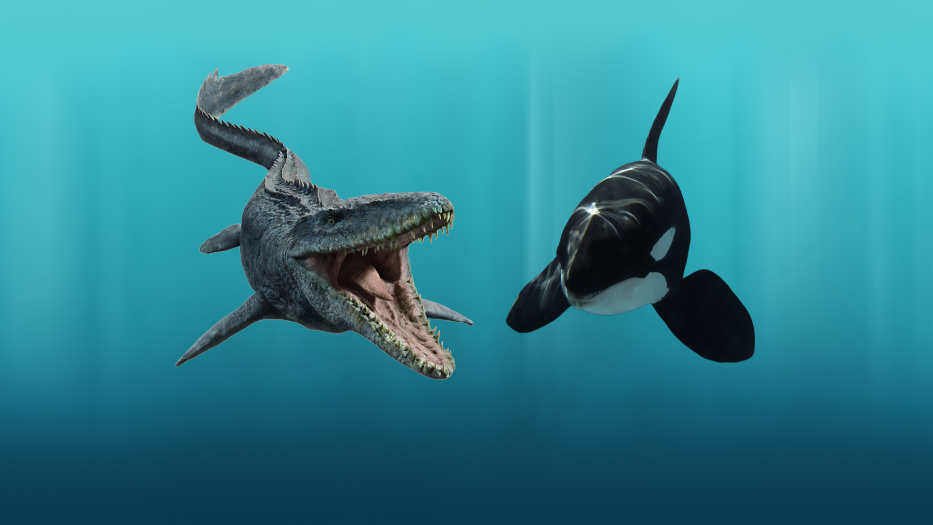 Mosa the Mosasaurus meets Willy the Orca