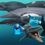 Mosasaurus joins the Cetaceans