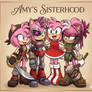 Amy Rose and her Sonic Prime counterparts