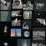 All 8,400 Apollo Moon Mission Photos Online