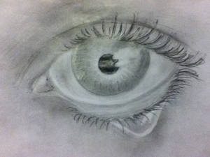 Realistic Human Eye