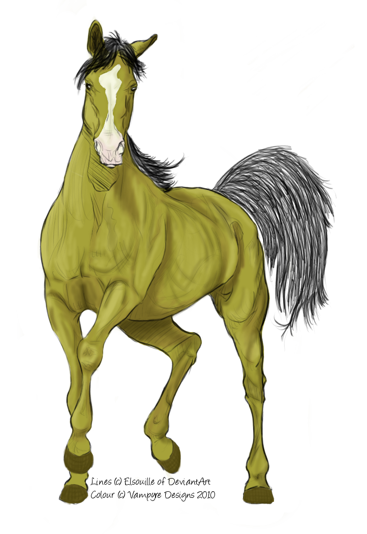 Palomino Type Horse-Coloured