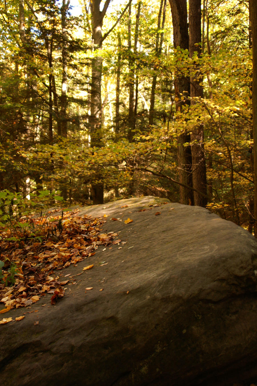 Hocking Hills III