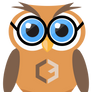 Codebuild's owl