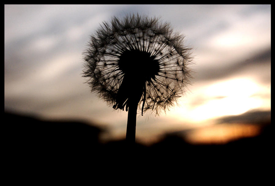 Silhouette clock