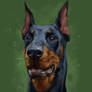 doberman