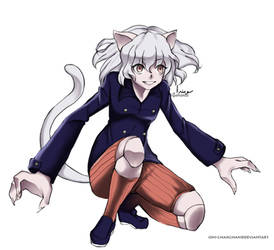 pitou hunter x hunter