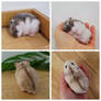 Commissions- Felted Dwarf Hamsters