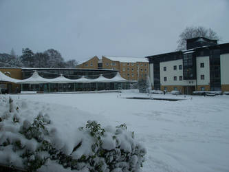 Roehampton London - Snowy Day 2