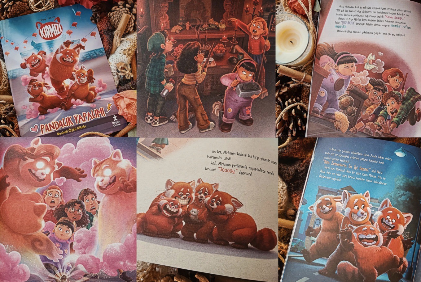 New turning red book images by tanasweet123 on DeviantArt