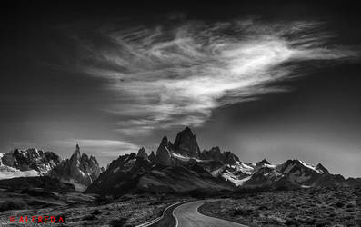 Condor in sky over El Chalten, Patagonia