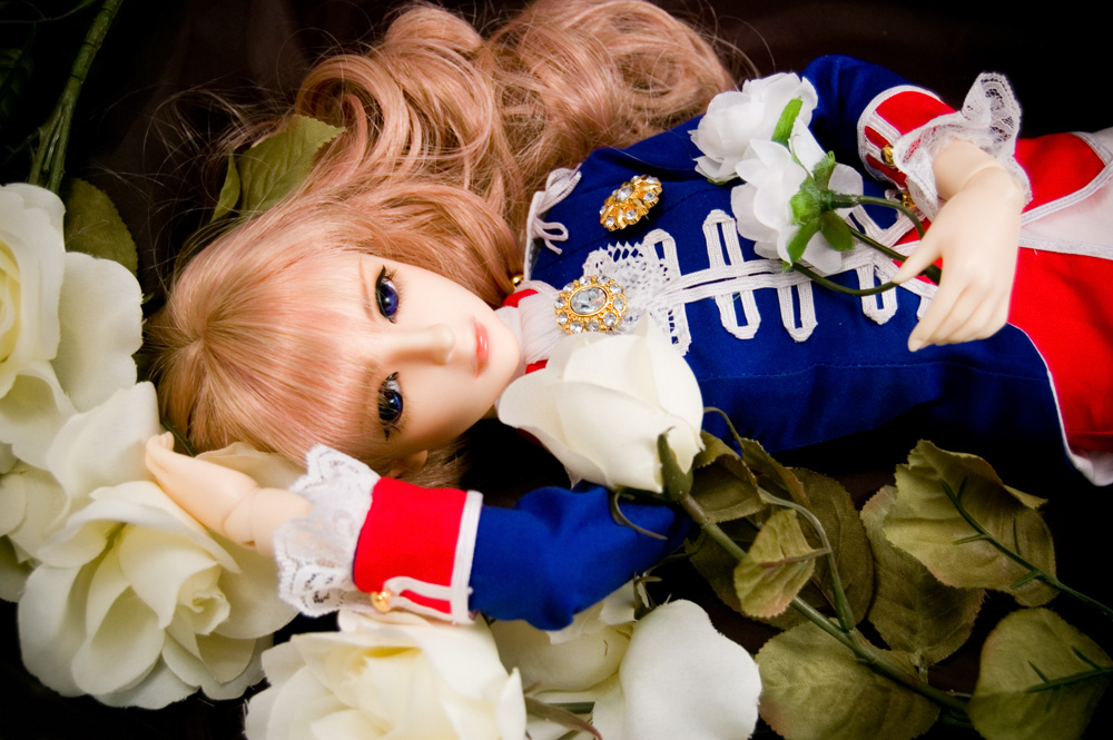 The Rose of Versailles