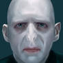 Voldemort - Portrait study with video