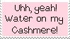 [stamp] lis: uhh, yeah! water on my cashmere!