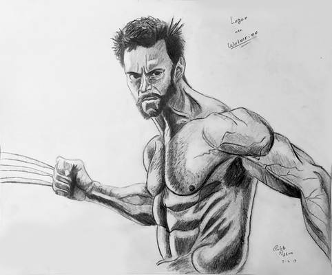 Wolverine Drawing