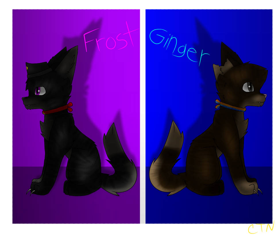 Rivals (Frost and Ginger) by CloudyTheNerd on DeviantArt