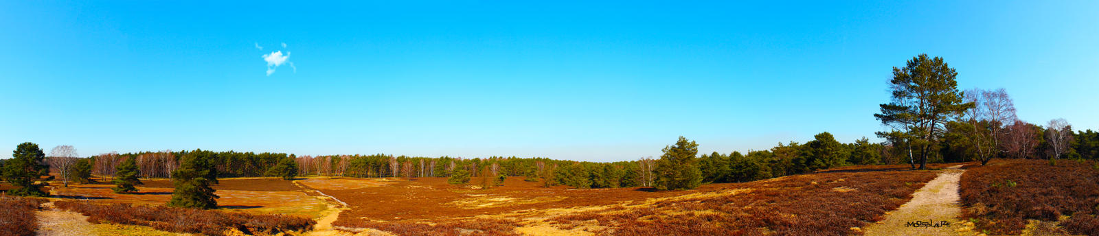 Moorland Panorama
