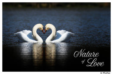 Nature of Love by Moosplauze