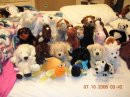 Old picture of my webkinz