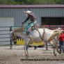 Bronc Riding 1