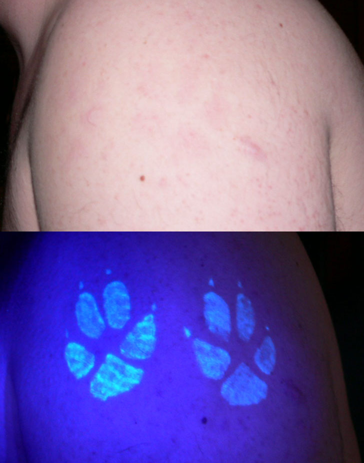 uv tattoo in normal light