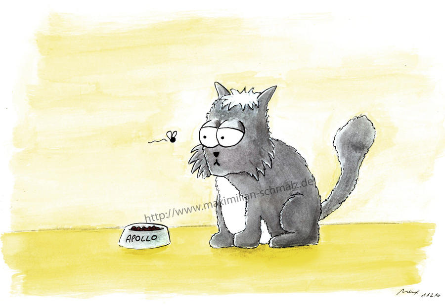 My cat Apollo by MaxMcDuck on DeviantArt