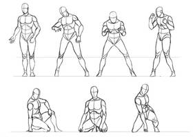 male proportion study