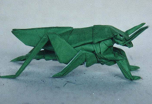 Origami Grasshopper