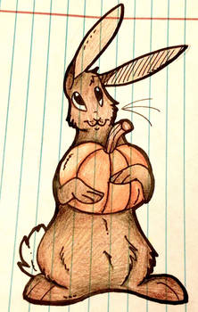 Pumpkin Bunny