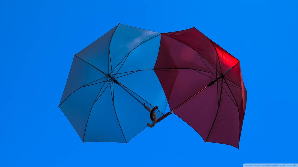 Два зонтика. Зонт. Красный зонт. Зонт синий. Зонт голубой.