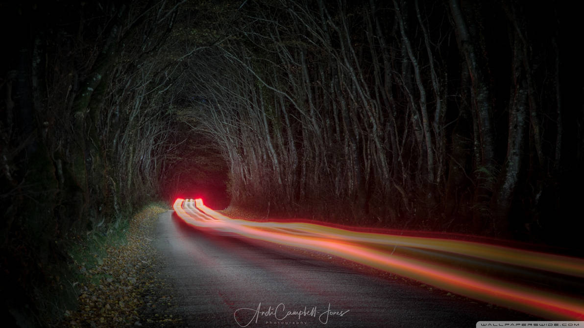 Ночь дорога свет фар. Красивые дороги. Ночная дорога. Лесная дорога ночью. Дорога в лесу ночью.