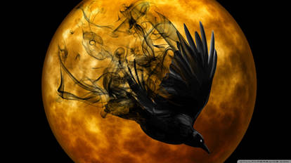 Halloween Raven 2