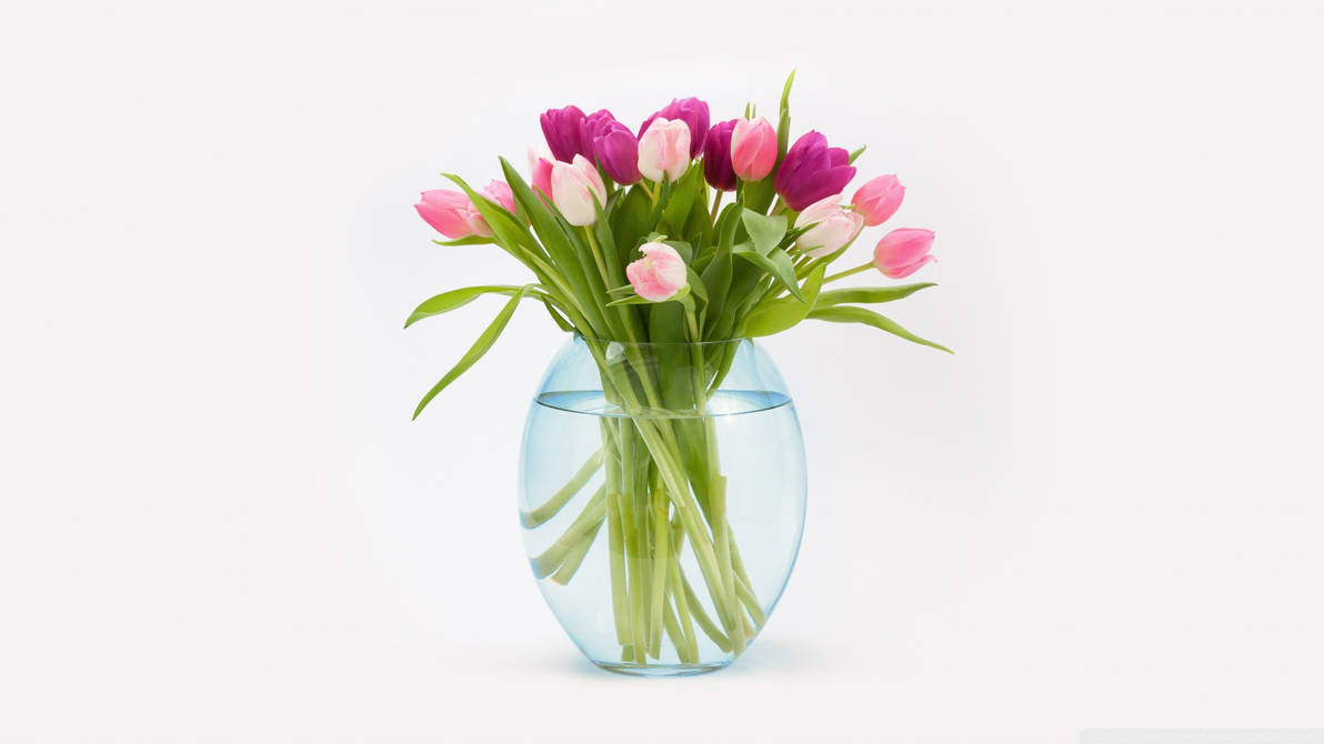 Открытка на 8 минимализм. Цветы в прозрачной вазе. Букеты в вазах. Ваза с тюльпанами. Стильные весенние букеты.