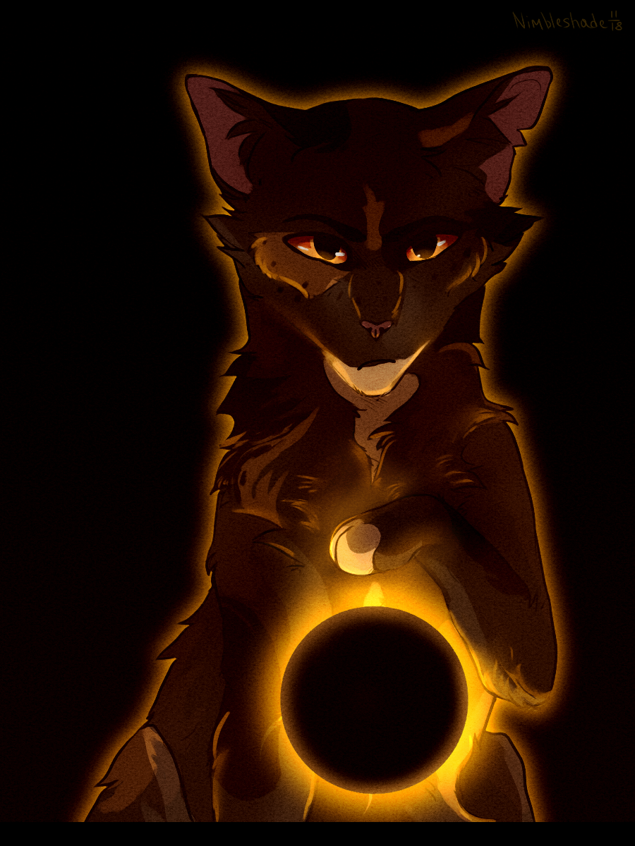 Kittens Sol Warrio Cats - Sol by Nimbleshade on DeviantArt