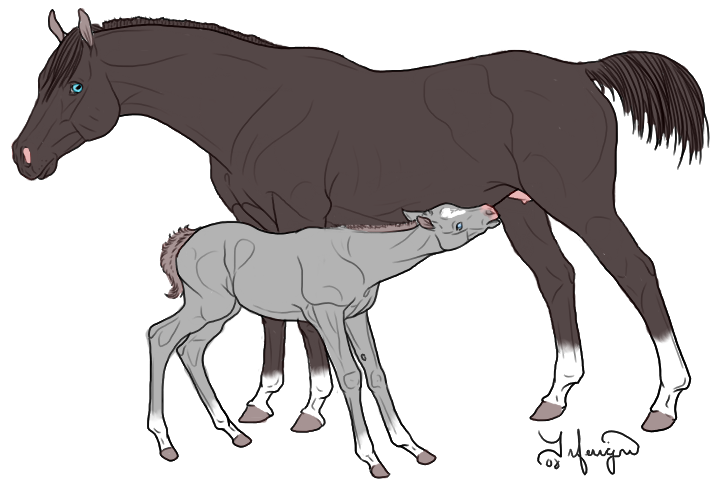 Mare and Foal#2