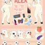 I'm a Sheep!!