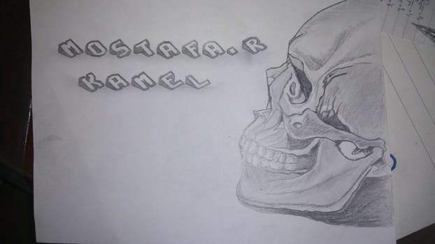 Skull drawing 