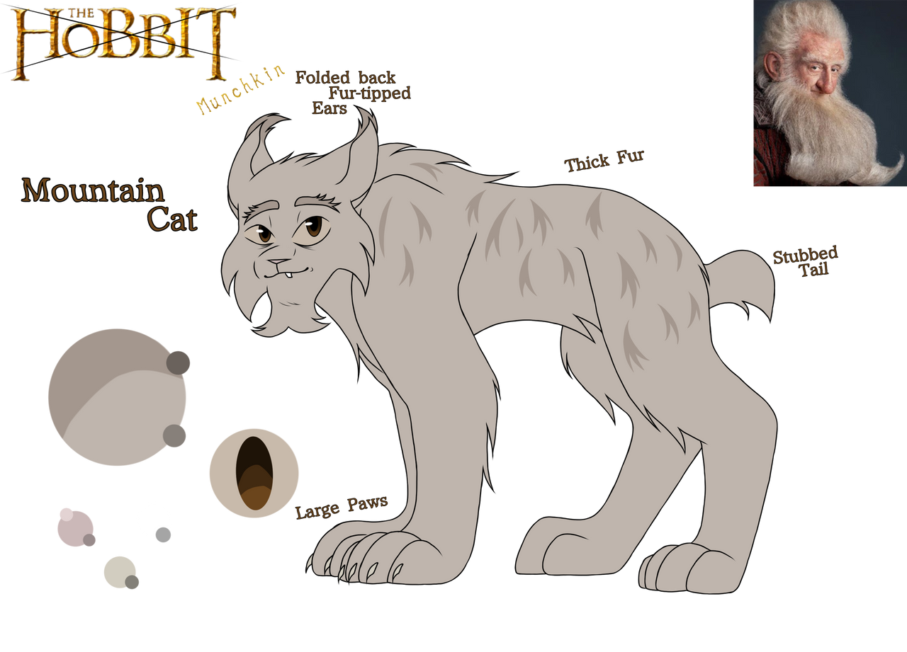 Balin by WolfaSketch on DeviantArt
